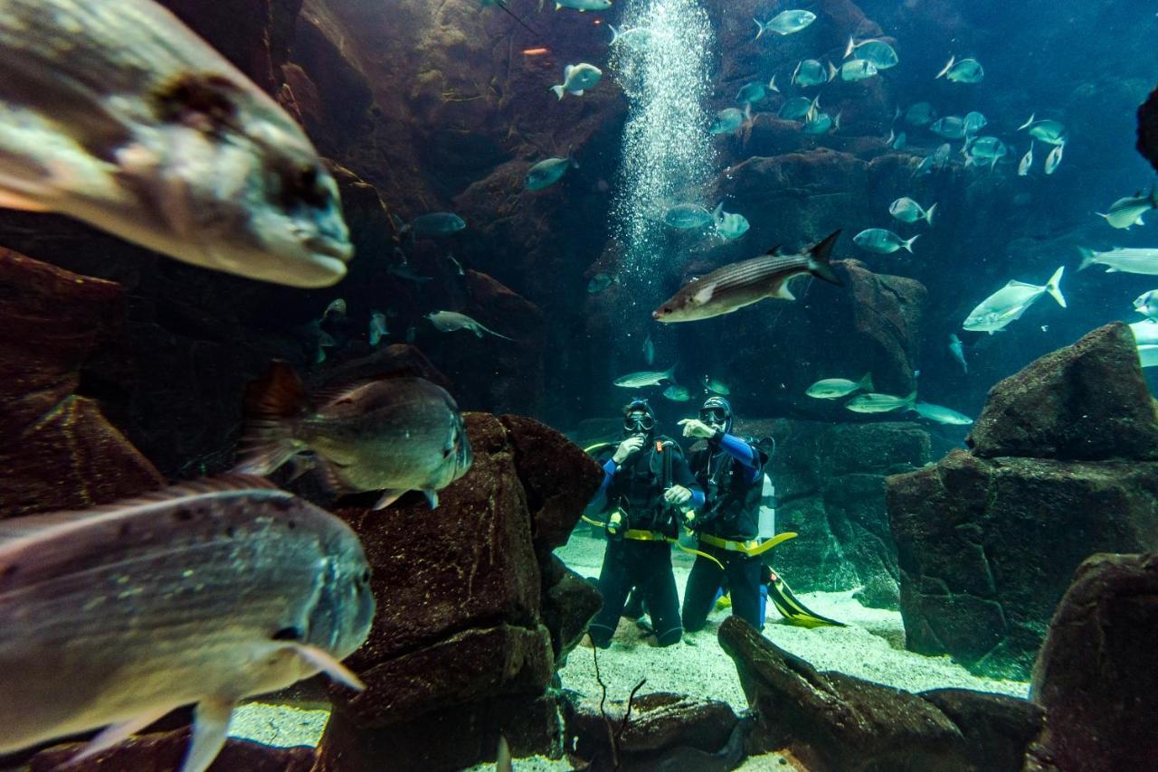 Aqua Natura Madeira Porto Moniz Ngoại thất bức ảnh